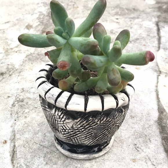 Black and White Tiny Pottery Salt Cellar or Succulent Planter - Picture 3 of 8